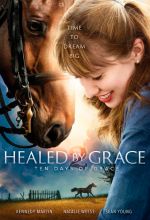 Healed by Grace 2: Ten Days of Grace