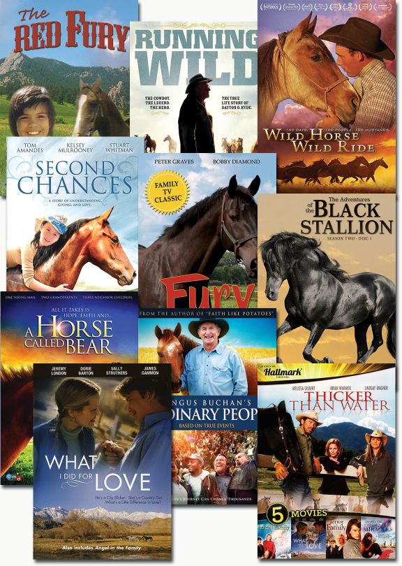 Horse Lover's Bundle - Set of 10 DVD | Catholic Video ...